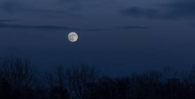 Интересный факт дня: Луна влияет на сон и женские циклы