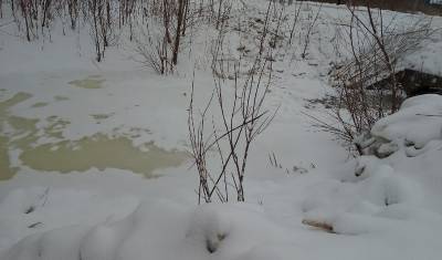 В речке Слесарке снова растет уровень воды. Жители опасаются подтопления