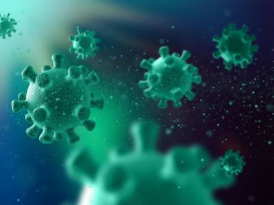 Обнаружена иммунная система, обеспечивающая защиту от вторжений вирусов