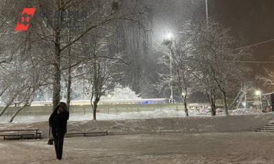 Алиханова раскритиковали за катание с горы в нерасчищенном от снега Калининграде