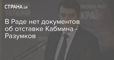 В Раде нет документов об отставке Кабмина - Разумков