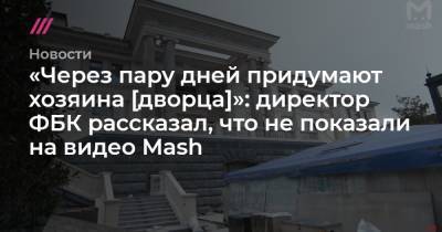 «Через пару дней придумают хозяина [дворца]»: директор ФБК рассказал, что не показали на видео Mash