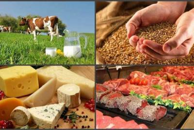 В Тамбовской области наблюдается стабильный рост производства пищевых продуктов