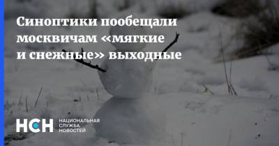 Синоптики пообещали москвичам «мягкие и снежные» выходные