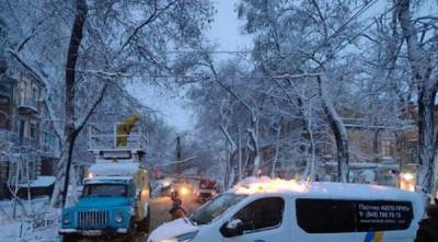 Непогода обрушила свой гнев на Одессу, видео: "сотни упавших деревьев, оборванных сетей и повалены опоры