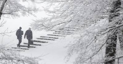 "Экстремальных морозов ждать не стоит": синоптик рассказала о погоде в Калининграде в феврале