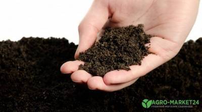 Почва для рассады: как улучшить купленный грунт