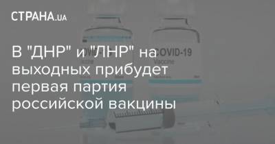 В "ДНР" и "ЛНР" на выходных прибудет первая партия российской вакцины