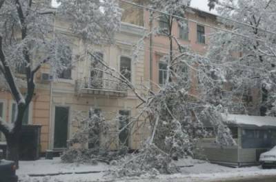 В Украине без электричества остаются более 350 населенных пунктов