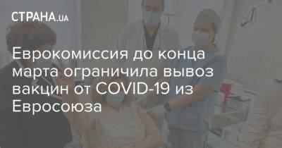 Еврокомиссия до конца марта ограничила вывоз вакцин от COVID-19 из Евросоюза