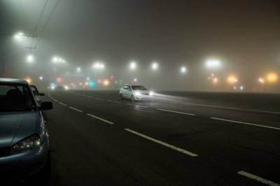 До 1 февраля в Ростовской области ночью и по утрам прогнозируют туман и гололедицу