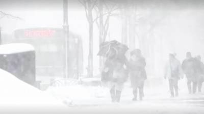 Не только Украина: мощный снежный шторм накрыл и Японию – видео