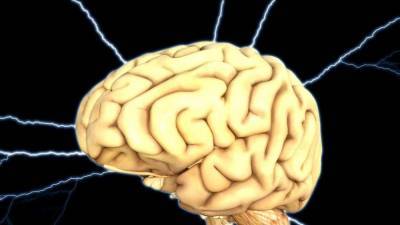 Ученые выяснили разницу между мозгом обычного и рискового человека