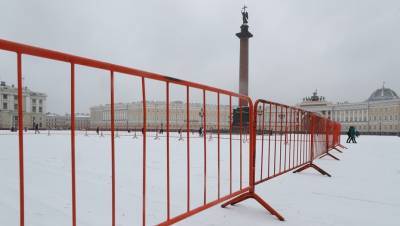 Смольный продлил запрет на митинги и пикеты в Петербурге