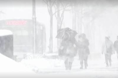 В Японии выпало до двух метров снега: буря отрезала остров Хоккайдо и повергла страну в транспортный коллапс (видео)