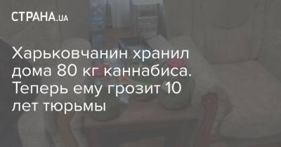 Харьковчанин хранил дома 80 кг каннабиса. Теперь ему грозит 10 лет тюрьмы