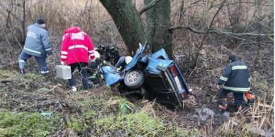 В Житомирской области автомобиль въехал в дерево: три человека погибли