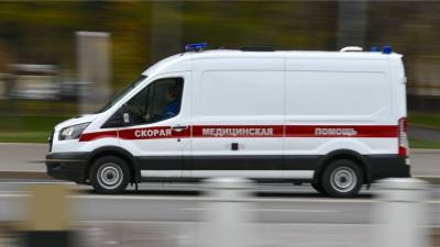 Ребенок погиб от укусов собак у заводчиков в Подмосковье