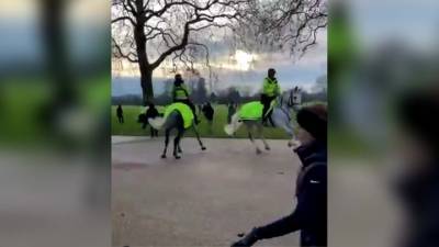 Полиция Лондона разогнала митинг COVID-диссидентов в Гайд-парке