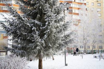 Погода в Новосибирске 3 января: безнадежно холодно