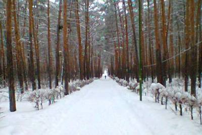 Синоптики пообещали смягчение морозов в Омске 5 января