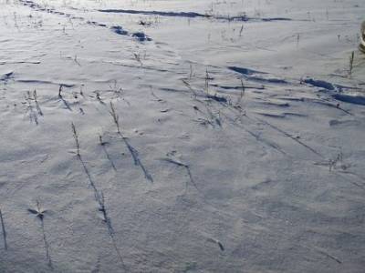 В Башкирии прогнозируют снег и 20-градусный мороз