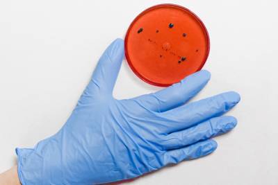 Обнаруживший Эболу ученый рассказал о появлении смертельно опасных заболеваний