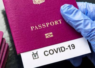 В России появился сервис по выдаче паспортов вакцинированного от коронавируса