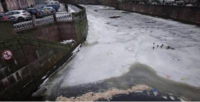 В Петербурге обнаружены сотни плывущих по реке Карповке багетов