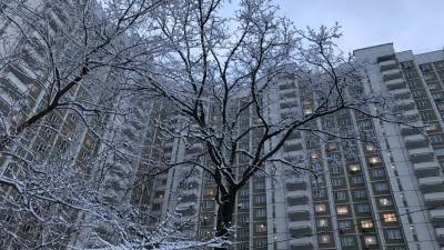 Жителей Москвы в воскресенье ожидают облачная погода и небольшой снег