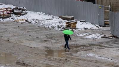 Мокрый снег и гололедицу ждут в Петербурге 3 января