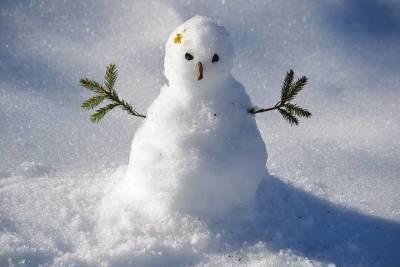 В Ханты-Мансийске прошел конкурс на лучшего снеговика