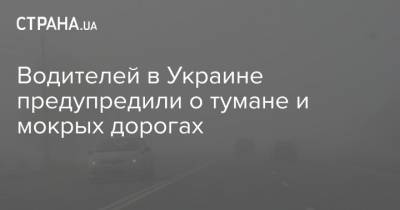 Водителей в Украине предупредили о тумане и мокрых дорогах