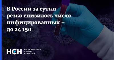 В России за сутки резко снизилось число инфицированных – до 24 150