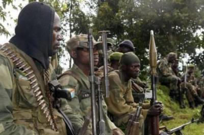 В Конго боевики напали на село, десятки погибших