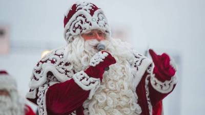 Партия пенсионеров посчитала размер пенсии Деда Мороза