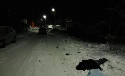 “Остались осколки от бампера”. В Тюменской области Mitsubishi насмерть сбил пешехода