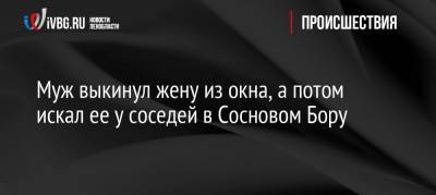 Муж выкинул жену из окна, а потом искал ее у соседей в Сосновом Бору