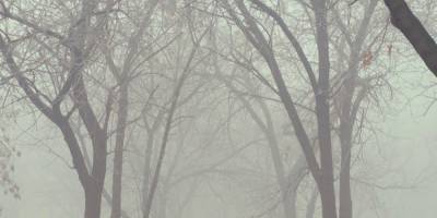 В Украине будет наблюдаться туман первого уровня опасности — синоптики