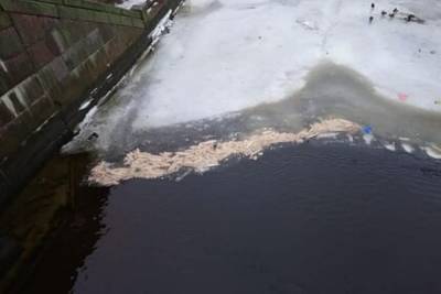 Сотни багетов выбросили в реку Карповку в Петербурге
