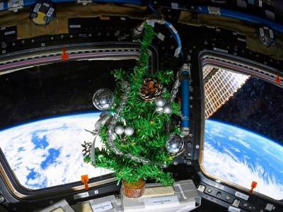 Российский космонавт сфотографировал с борта МКС Челябинск