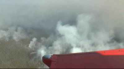 К тушению лесного пожара в Сочи привлекли авиацию МЧС