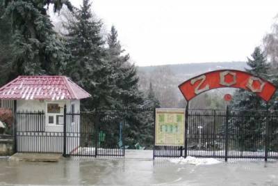 В Кишиневском зоопарке звери третий день не могут есть из-за фейерверков