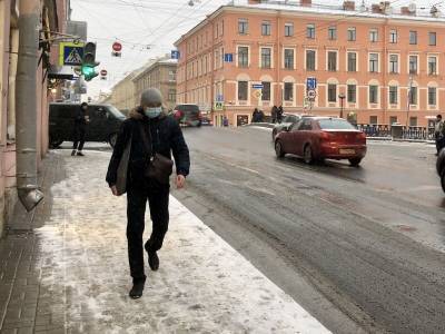 Власти Петербурга ждут три новые волны заболеваемости коронавирусом после праздников