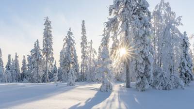 Гидрометцентр сообщил о мягкой зиме в европейской части России