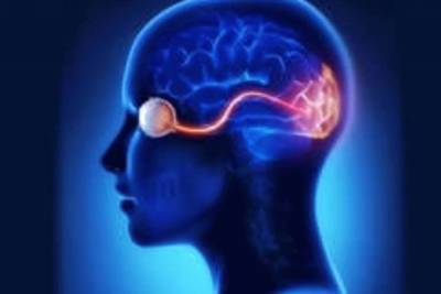 Застойный диск зрительного нерва: как повышенное давление портит зрение