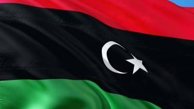 Долгов оценил действия РФ по освобождению граждан из плена в Ливии
