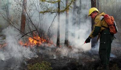 Новый год в Краснодарском крае начался с природных пожаров