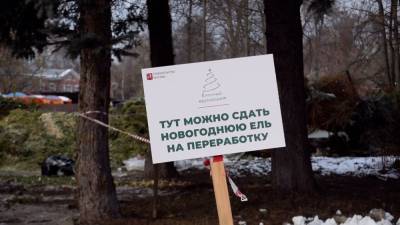 В Москве стартовала акция «Елочный круговорот».
