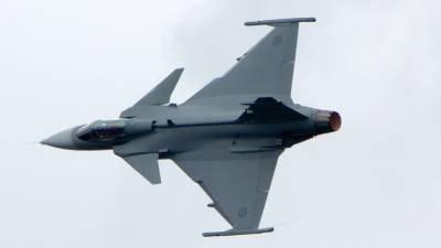 Патрулирование неба над Балтикой до апреля будут вести ВВС Италии и ФРГ